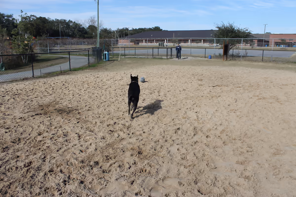 Mother Matilda Beasley Dog Park